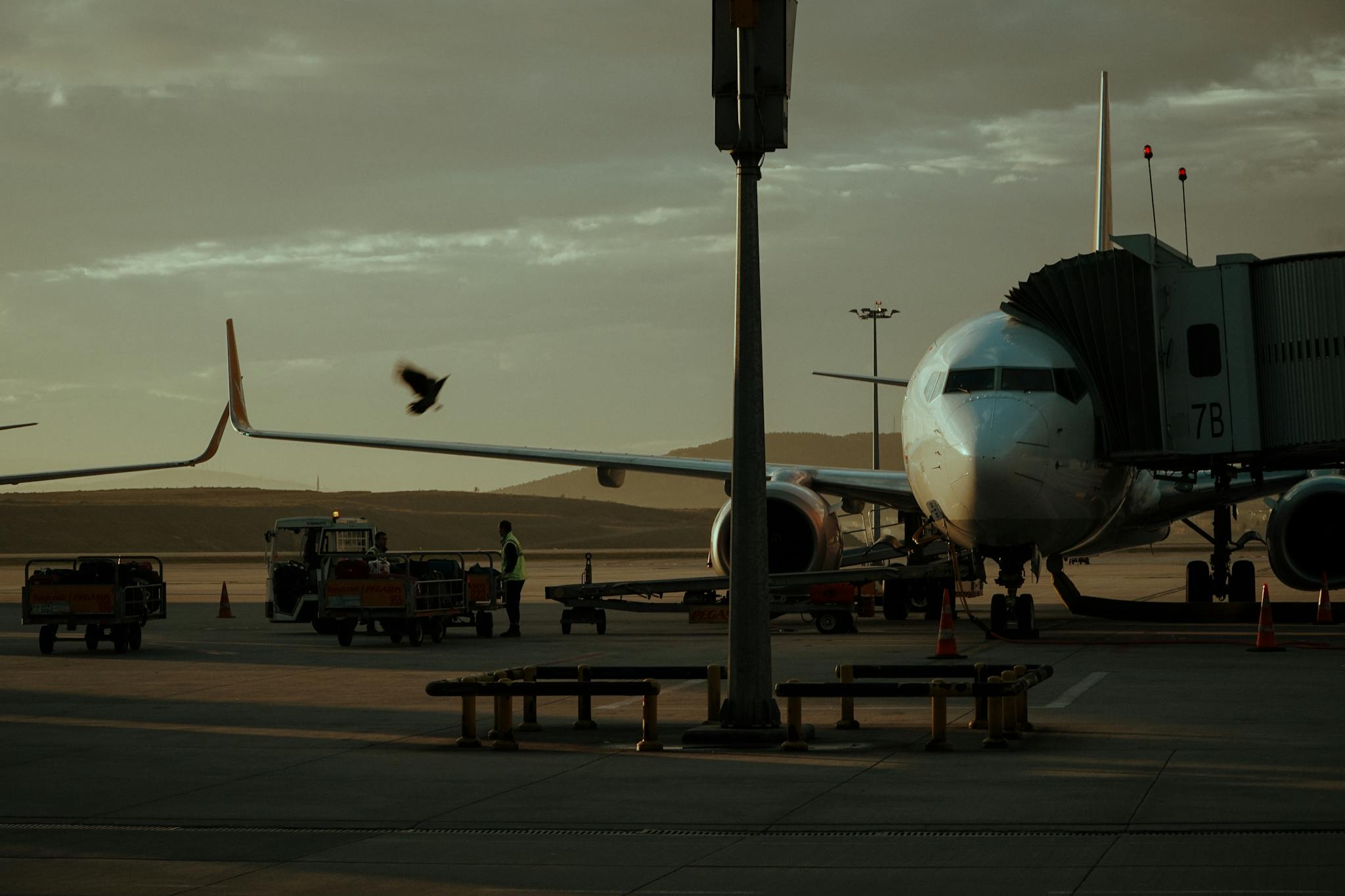 A parked airplane at an airport gate with a boarding bridge and vehicles visible at twilight.